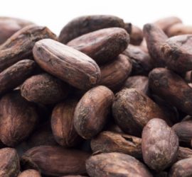 CacaoBeans